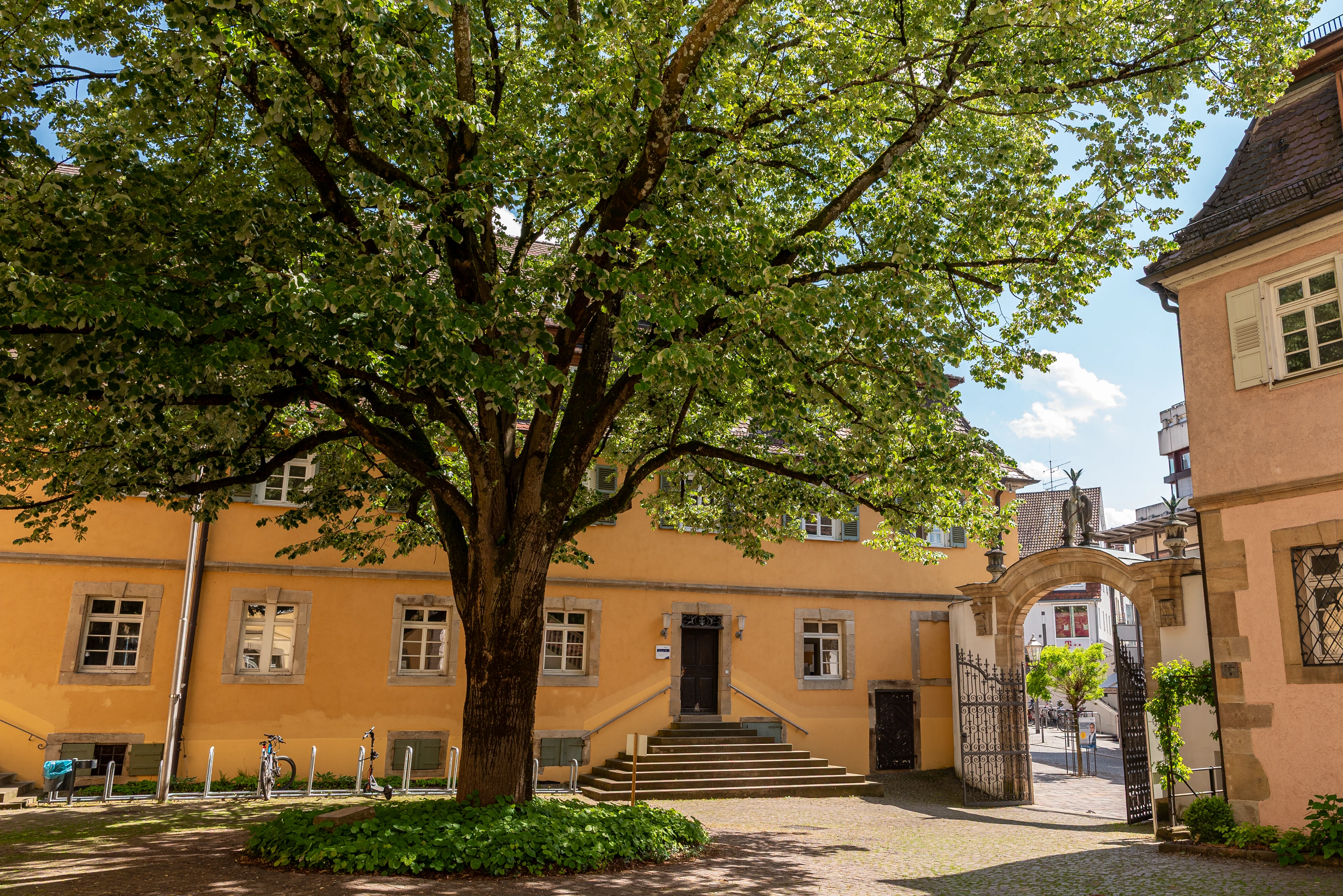 Hof Spital
