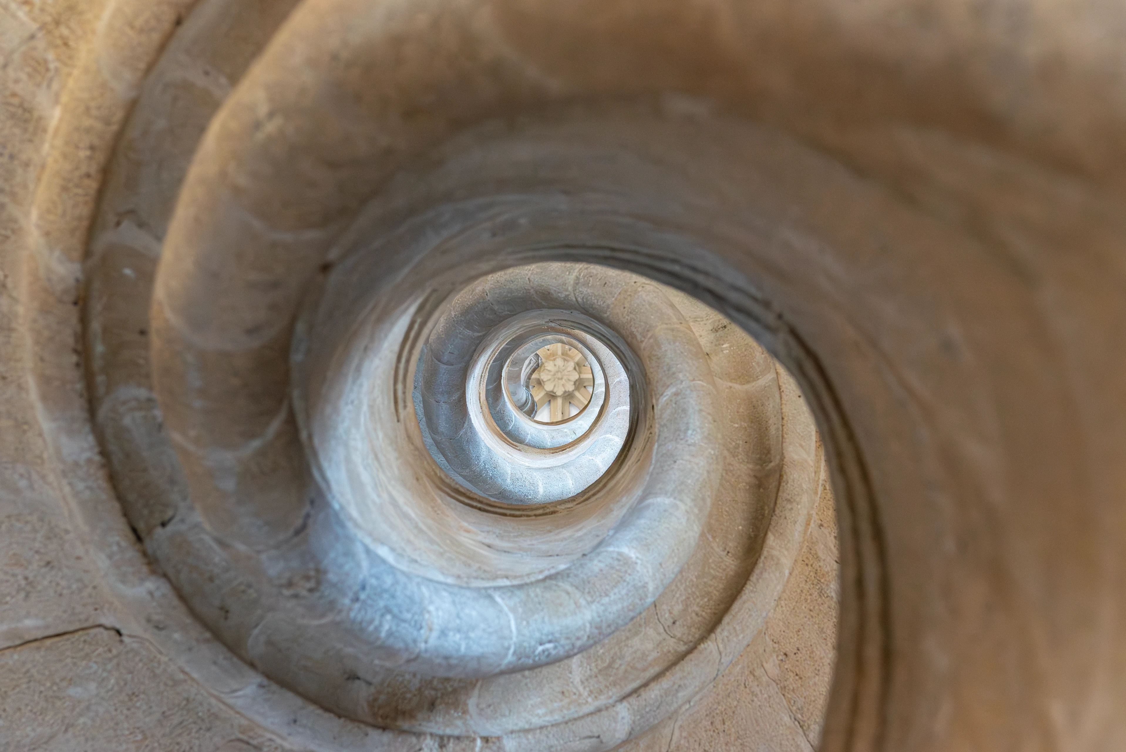 Schnecke